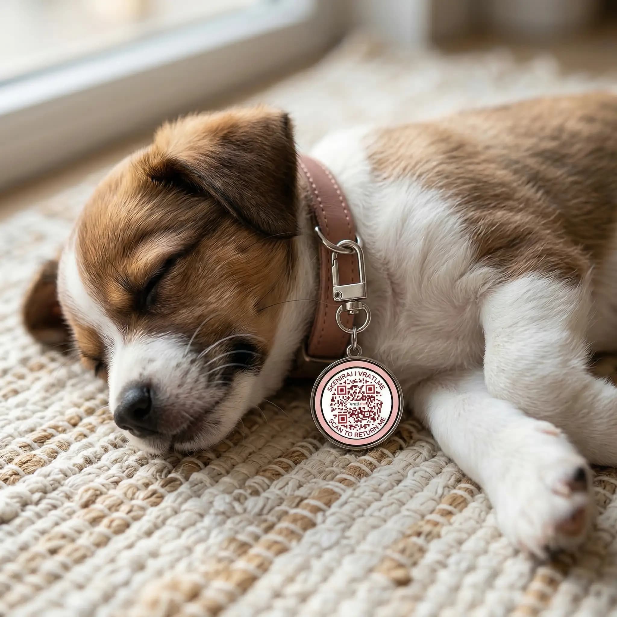 Oznaka za kućne ljubimce - 6